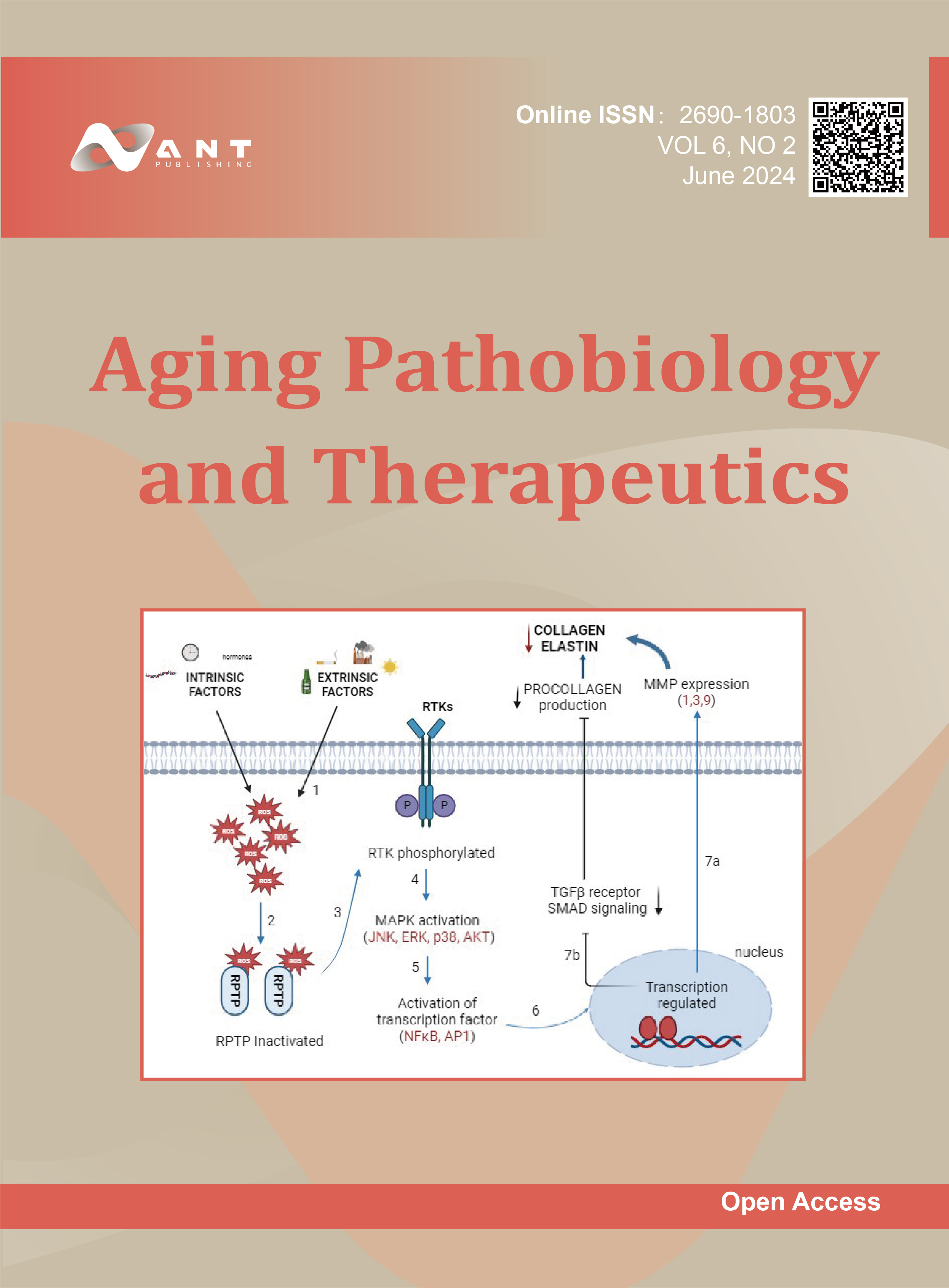 Cover Page