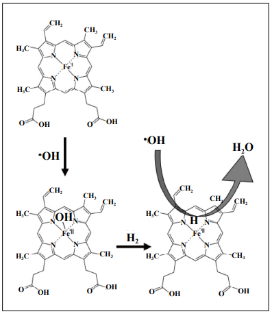 acetyl l carnitine brain Acetyl-L-carnitine physical-chemical, metabolic, and therapeutic properties: relevance for its mode of action in Alzheimer's disease and geriatric depression acetyl l carnitine brain Acetyl-L-carnitine physical-chemical, metabolic, and therapeutic properties: relevance for its mode of action in Alzheimer's disease and geriatric depression