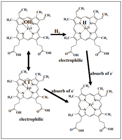 molecular hydrogen nrf2 glutathione Mechanisms of mitochondria-targeting by molecular H2: (1) barely