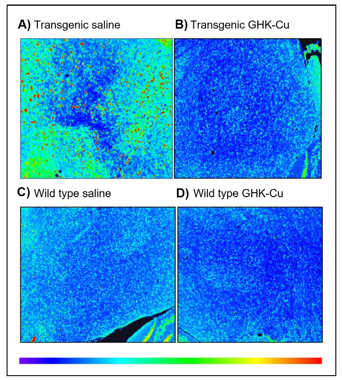 ghk cu intranasal Behavioral and neuropathological features of Alzheimer's disease are  attenuated in 5xFAD mice treated with intranasal GHK peptide | Tucker