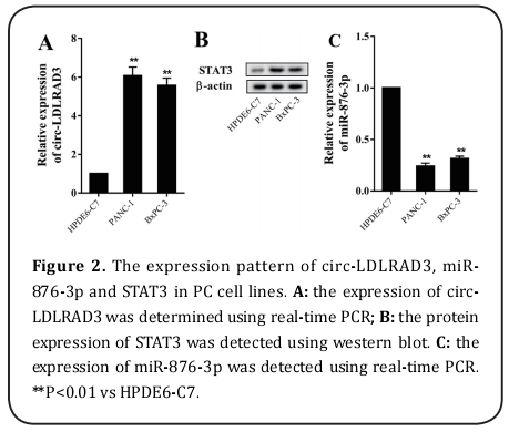 Figure 2.   