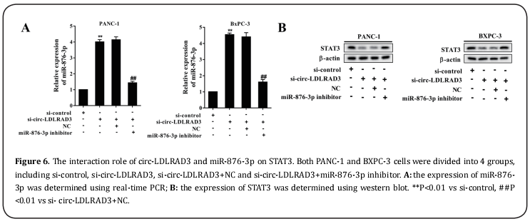 Figure 6.  