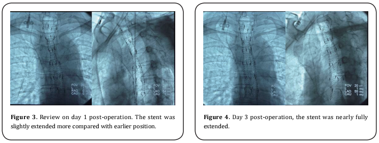 Figure 2.   