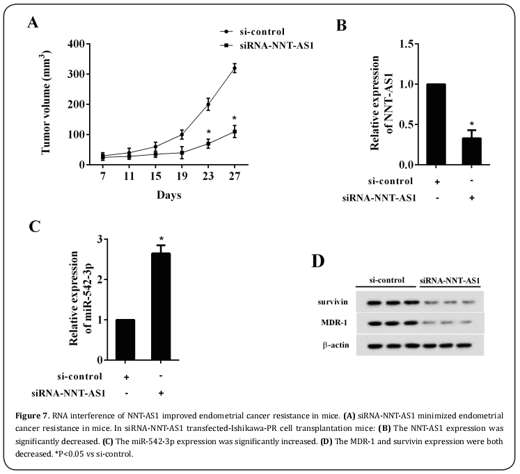 Figure 7.   