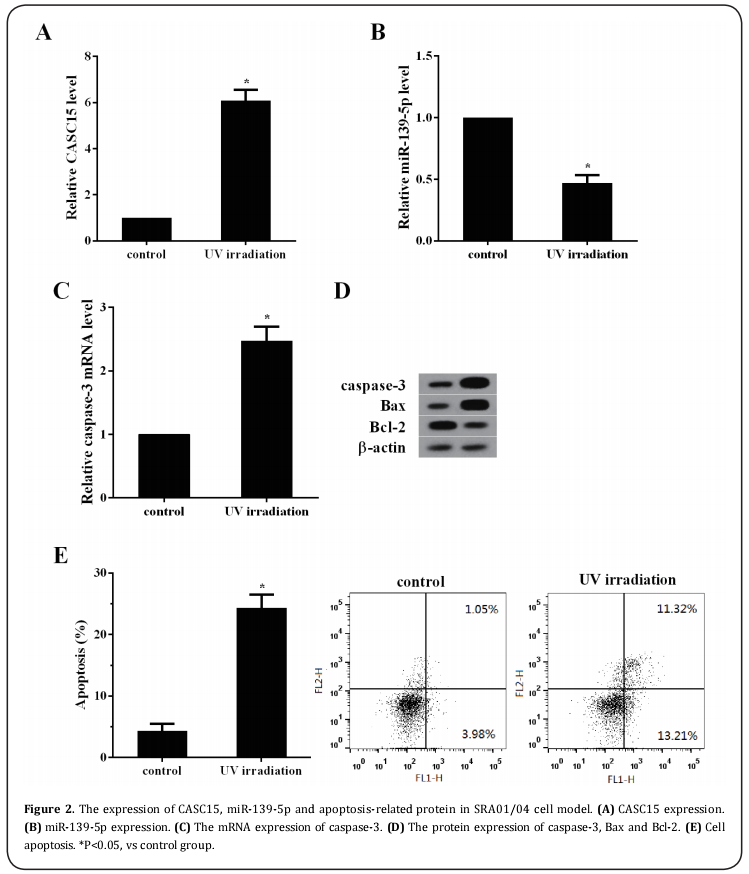 Figure 2.   