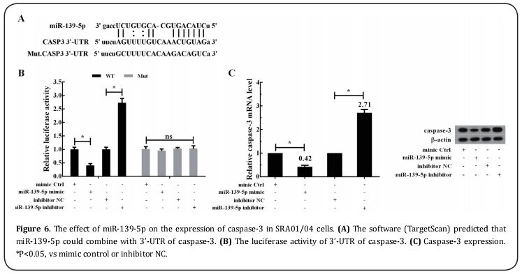 Figure 6.   