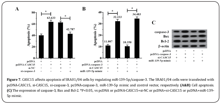 Figure 7.   