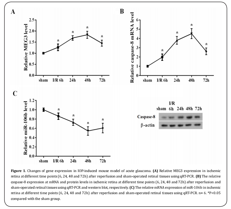 Figure 1.  