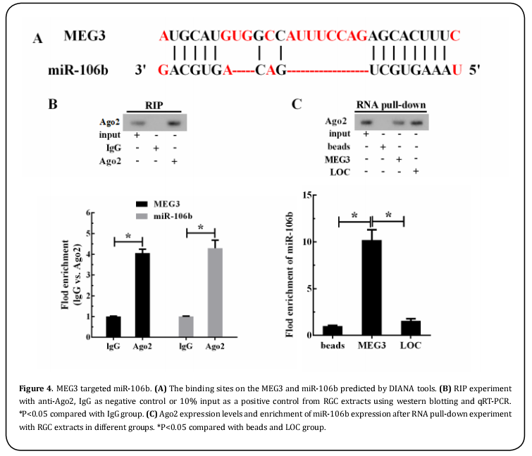 Figure 4.  