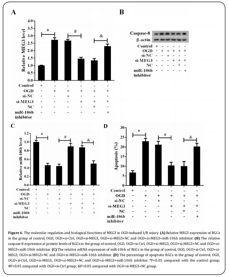 Figure 6.  