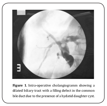 Figure 1.  