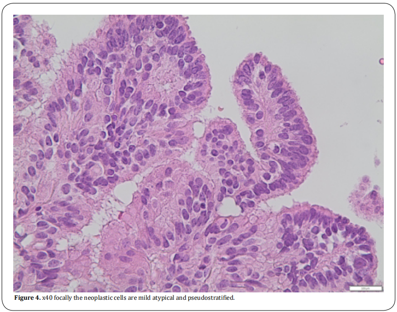 Figure 4.  