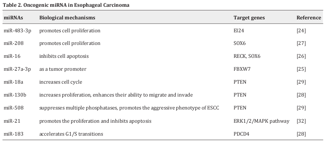 Table 2. Oncogenic miRNA in Esophageal Carcinoma