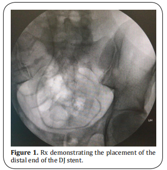 fig 1.  