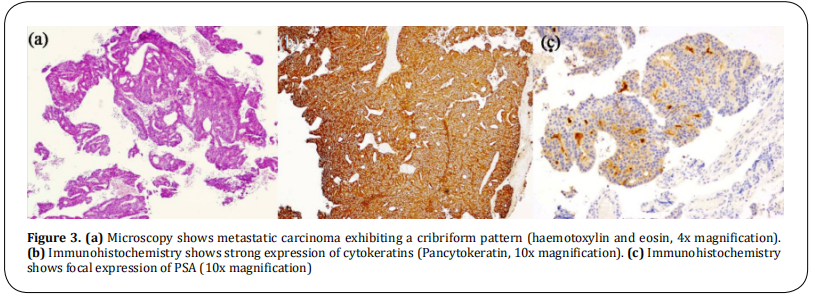 fig 3.  