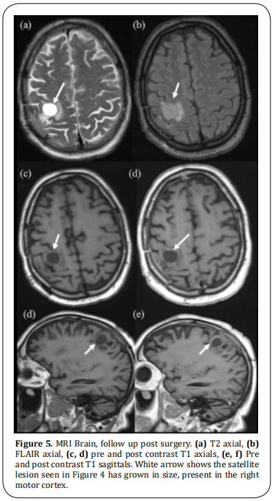 fig 5.  