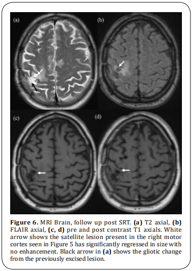 fig 6.  