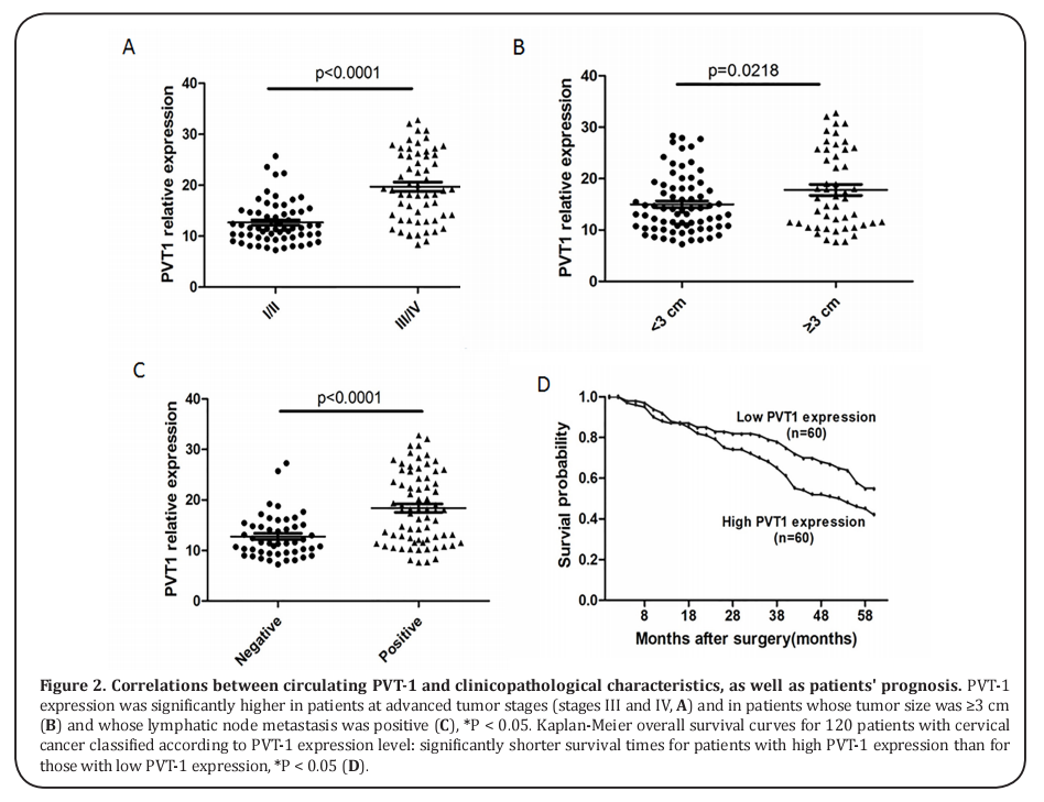 Figure 2. Correlations between circulating PVT-1 and clinicopathological characteristics, as well as patients' prognosis.  