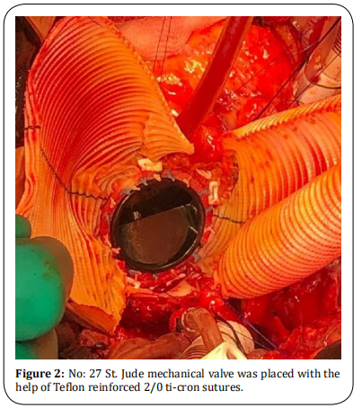 Figure 2.  