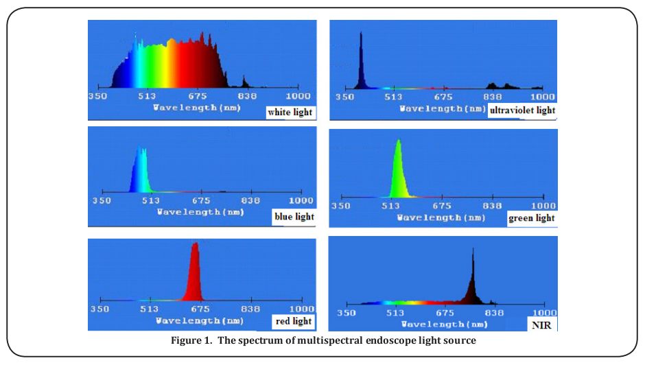 Figure 1. The spectrum of multispectral endoscope light source