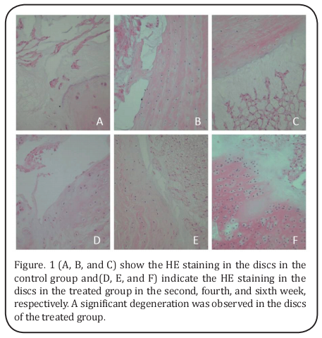 Figure1