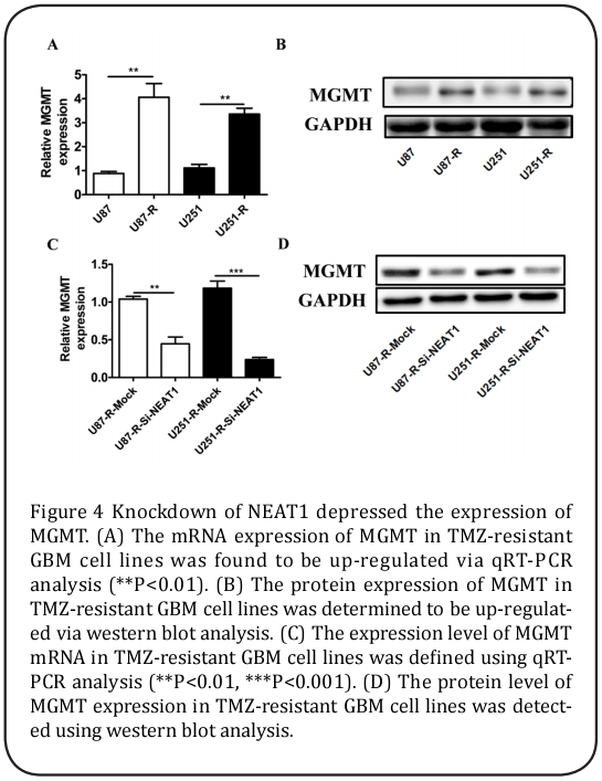 Figure 4 