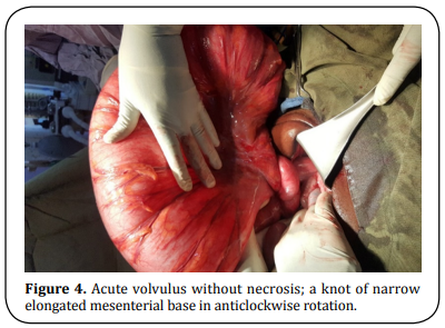 Figure 4.  