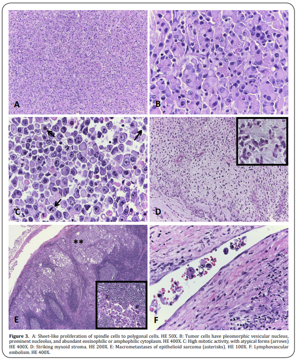 Figure 3.  