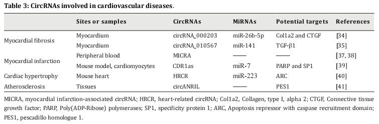 Table 3: CircRNAs involved in cardiovascular diseas