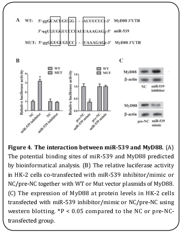 Figure 4 