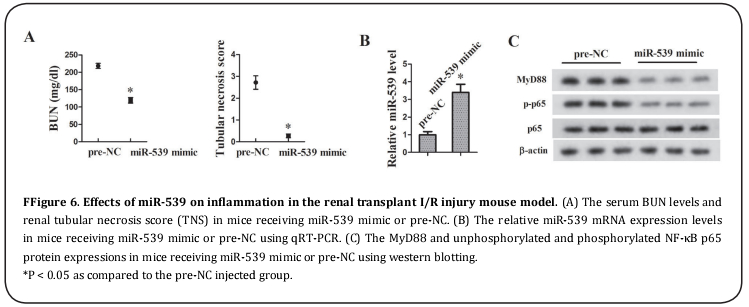 Figure 6 