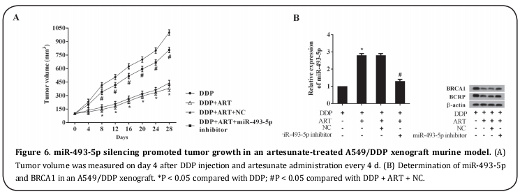 Figure 6 