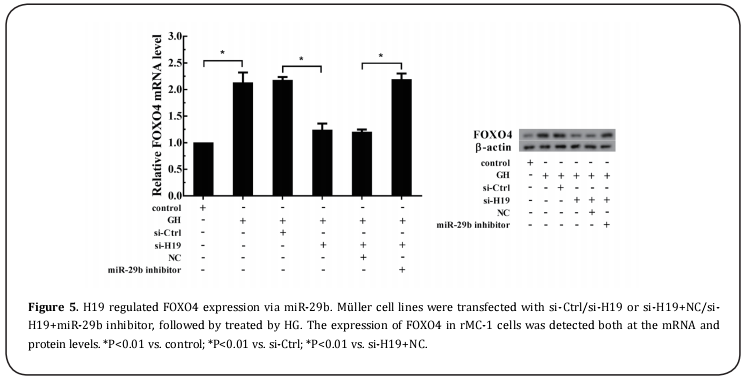 Figure 5.  