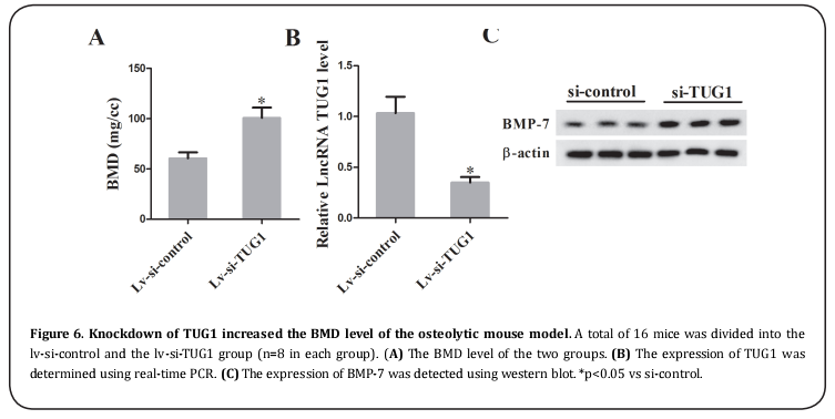 Figure 6.  