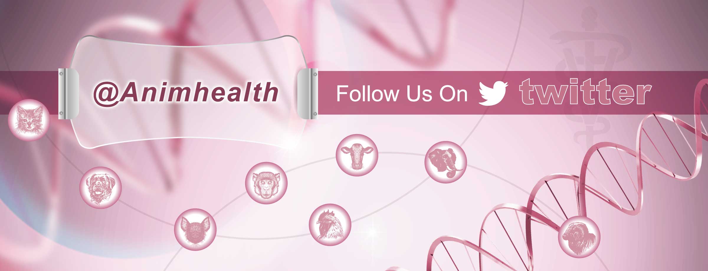 Animal Health and Therapy Reports